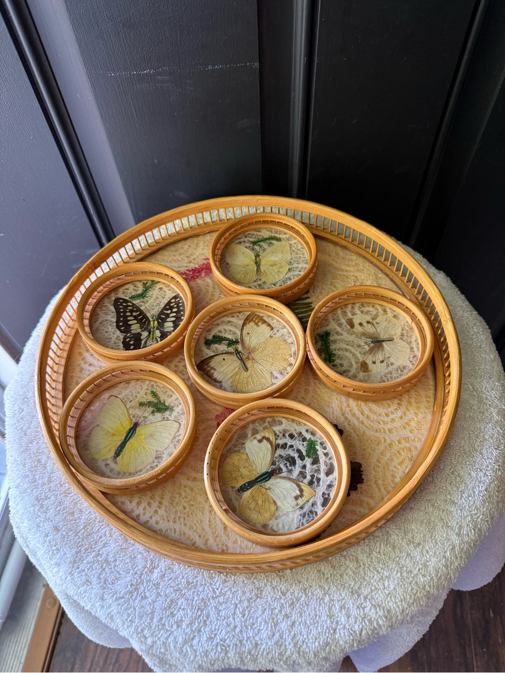 Vtg Pressed Butterfly Flower Bamboo Glass Lace Tray & Coaster Set of 7